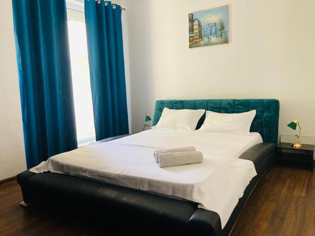 エフォリエ・ノルドApartament Edyアパートメント エクステリア 写真