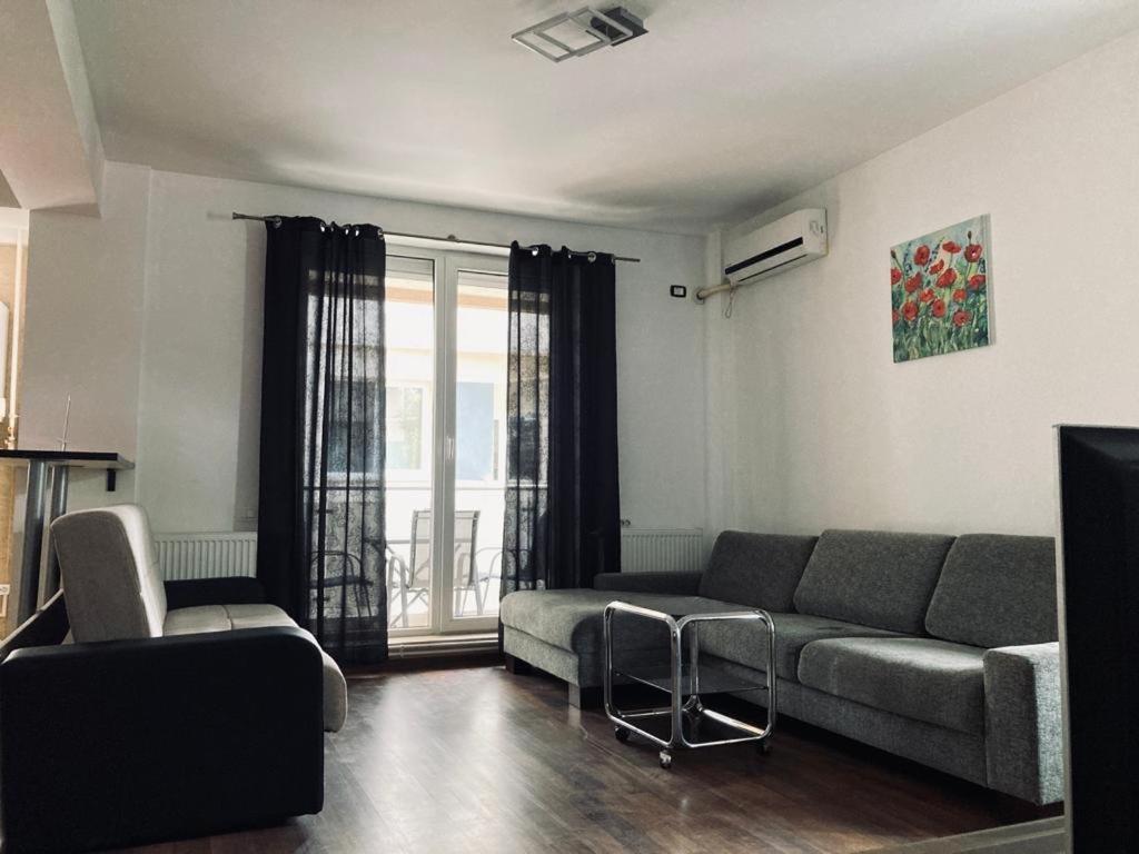エフォリエ・ノルドApartament Edyアパートメント エクステリア 写真